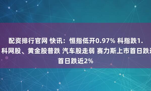配资排行官网 快讯：恒指低开0.97% 科指跌1.75% 科网股、黄金股普跌 汽车股走弱 赛力斯上市首日跌近2%