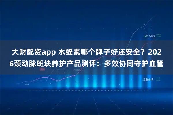 大财配资app 水蛭素哪个牌子好还安全？2026颈动脉斑块养护产品测评：多效协同守护血管